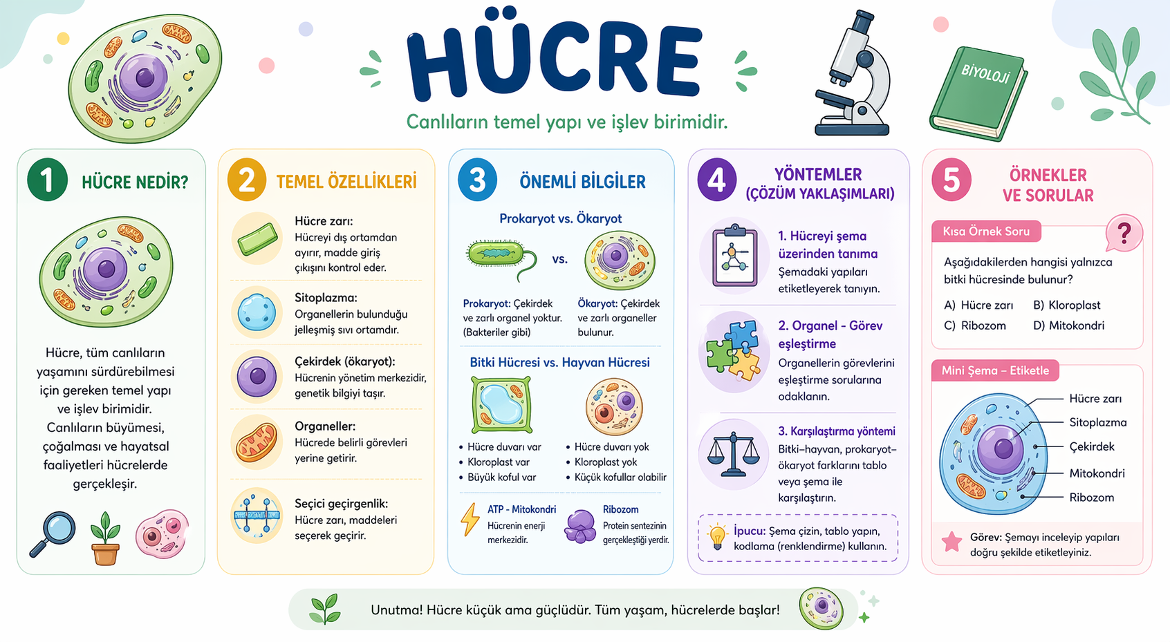 Hücre