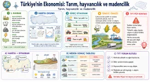 Türkiye'nin Ekonomisi